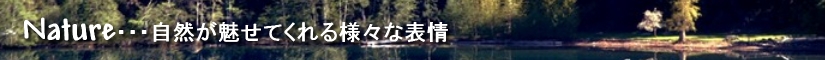 Nature・・・自然が魅せてくれる様々な表情