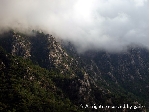 E1156323.JPG