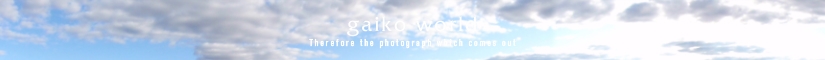 gaiko world