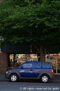 HONDA ELEMENT