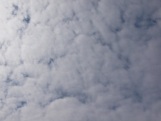 実験日の空
