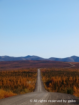 Landscape2