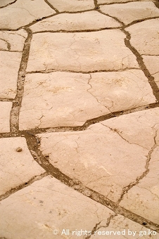 Earth color3