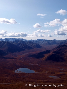 Landscape3
